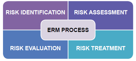 ermprocess