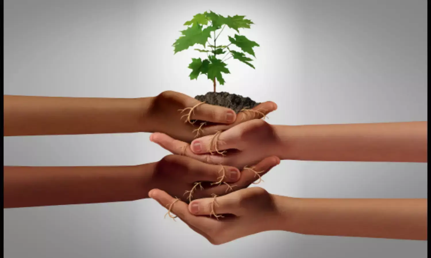 A Mutual Will COMES INTO FORCE UPON THE DEATH OF EITHER OF THE JOINT TESTATORS