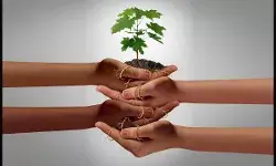 A Mutual Will COMES INTO FORCE UPON THE DEATH OF EITHER OF THE JOINT TESTATORS A Mutual Will COMES INTO FORCE UPON THE DEATH OF EITHER OF THE JOINT TESTATORS