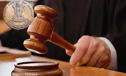 Delhi HC issues notice against classification of law offices as commercial activity for property tax Delhi HC issues notice against classification of law offices as commercial activity for property tax