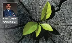 Legal System and Economic Growth