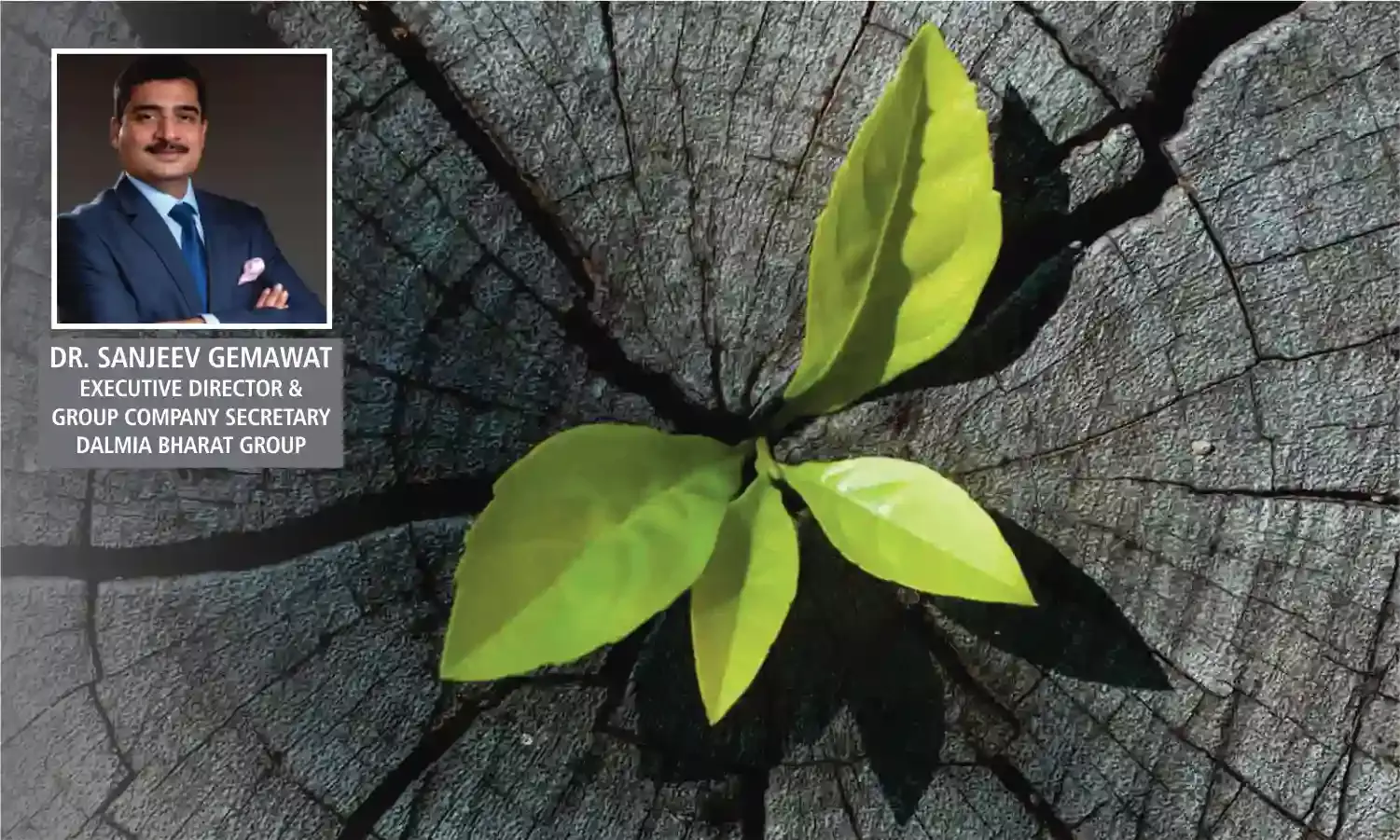 Legal System and Economic Growth