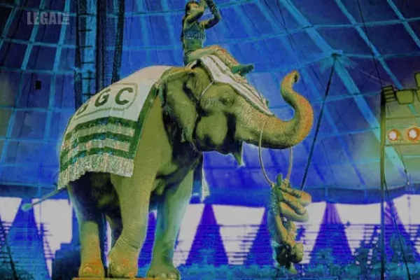 AWBI cancels registration of 5 circuses; recommends appropriate legislation for welfare of animals