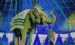 AWBI cancels registration of 5 circuses; recommends appropriate legislation for welfare of animals AWBI cancels registration of 5 circuses; recommends appropriate legislation for welfare of animals