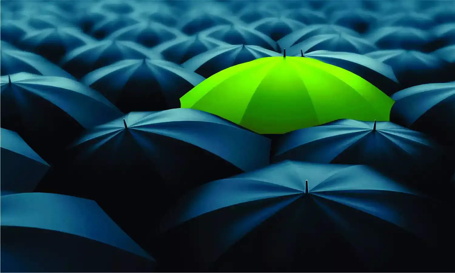 Will the CCIs Market Study on Private Equity Investments Provide Clarity for Minority Investments?