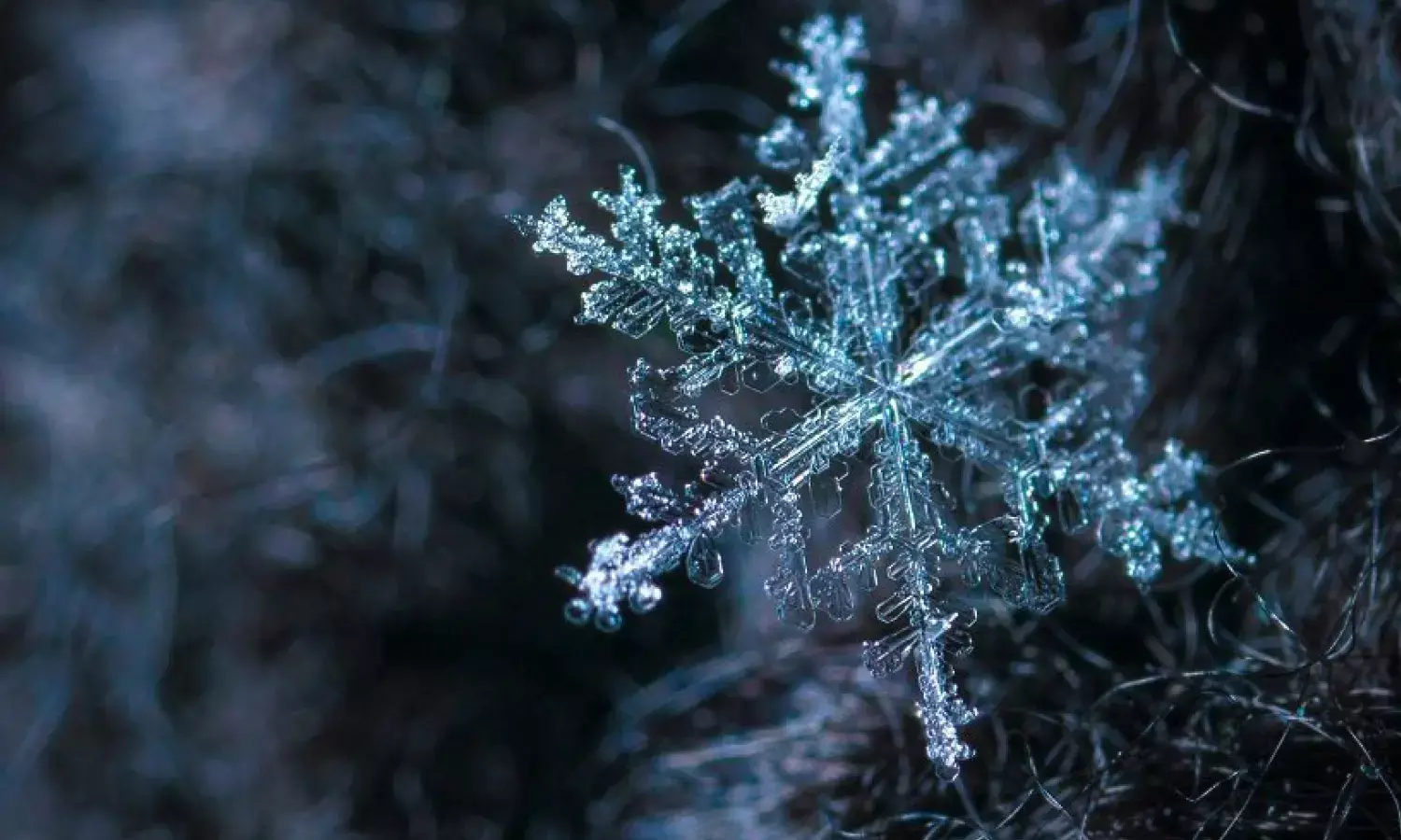 Why not be less shy in the use of Worldwide Freezing Injunctions?