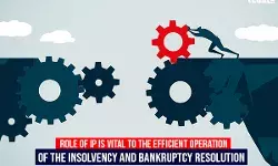 Role of IP is vital to the efficient operation of the Insolvency and Bankruptcy resolution