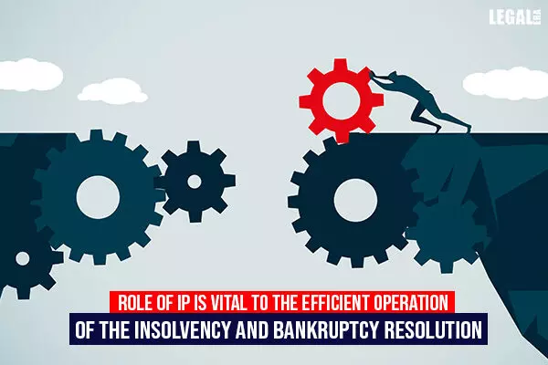 Role of IP is vital to the efficient operation of the Insolvency and Bankruptcy resolution