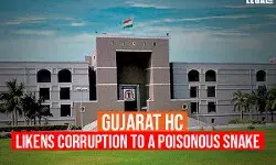 Gujarat High Court likens corruption to a poisonous snake Gujarat High Court likens corruption to a poisonous snake