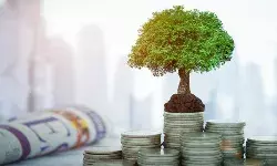 FDI in Digital Media