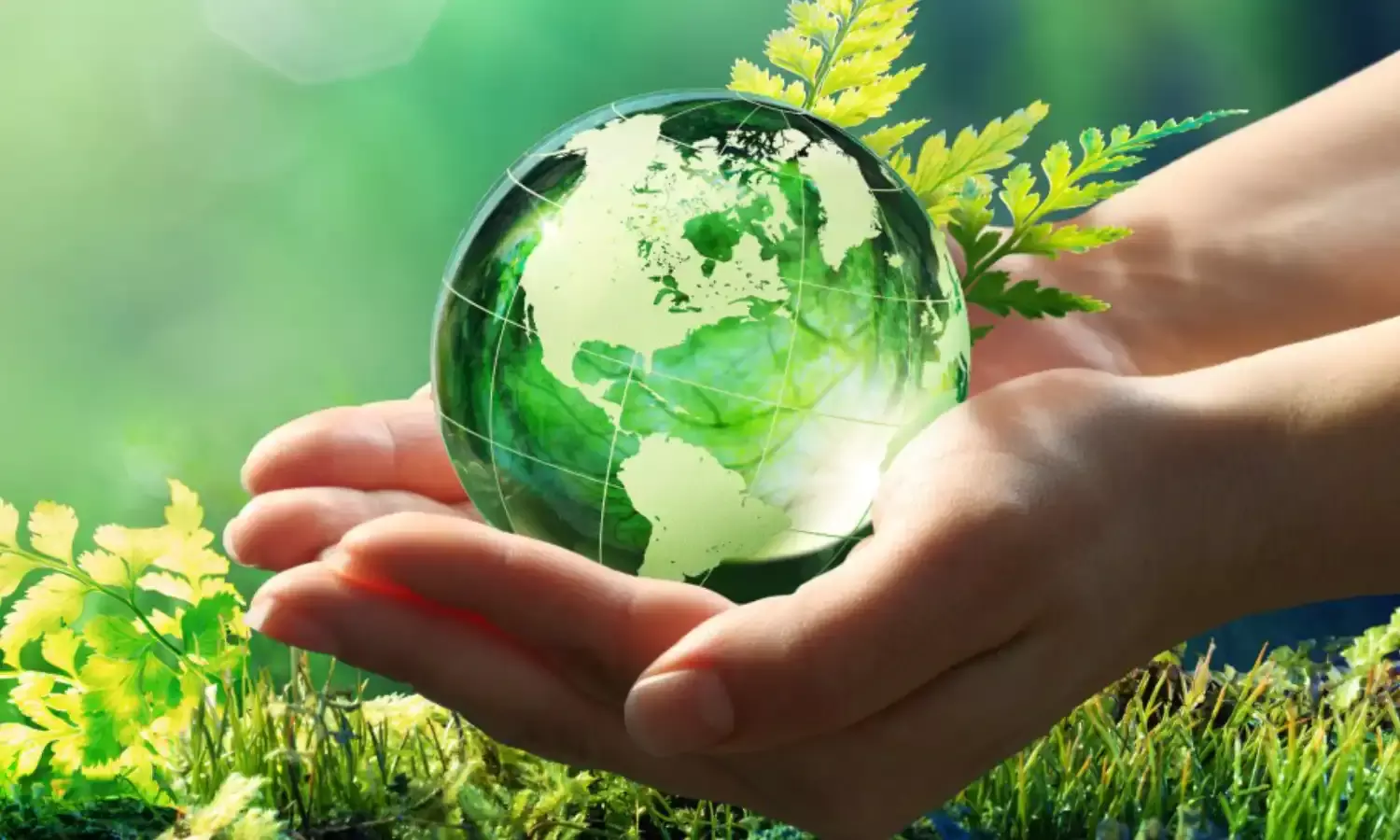 Highlights of the Standard Operating Procedure (SOP) for FDI Proposals