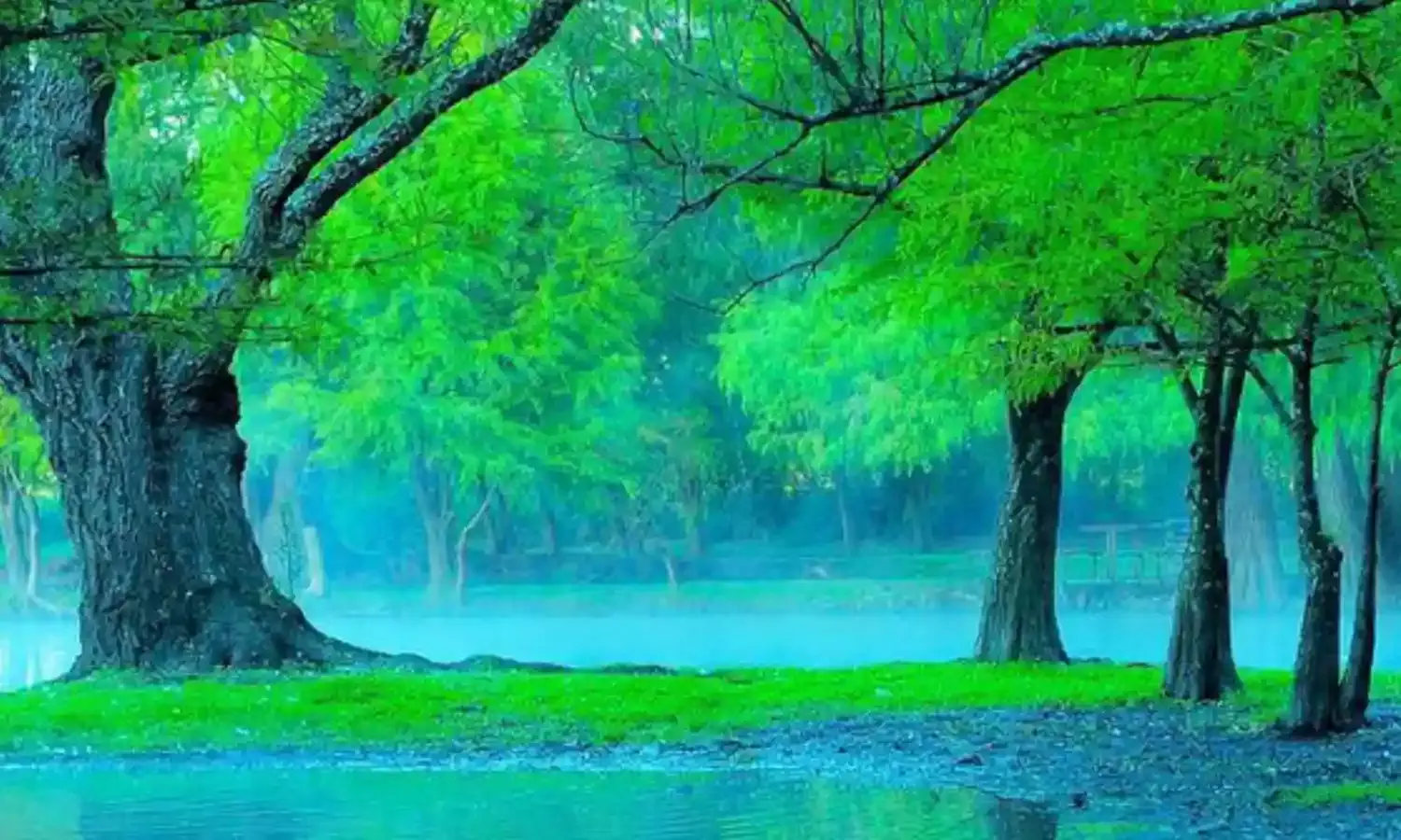 A Registered Sale Deed Cannot Be Canceled on Non-Payment of a Part of Sale Consideration