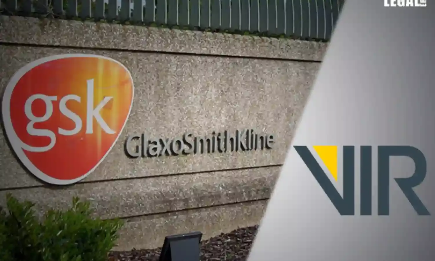 Vir and GSK halt trial of its Covid-19 antibody raising concern over potential benefit