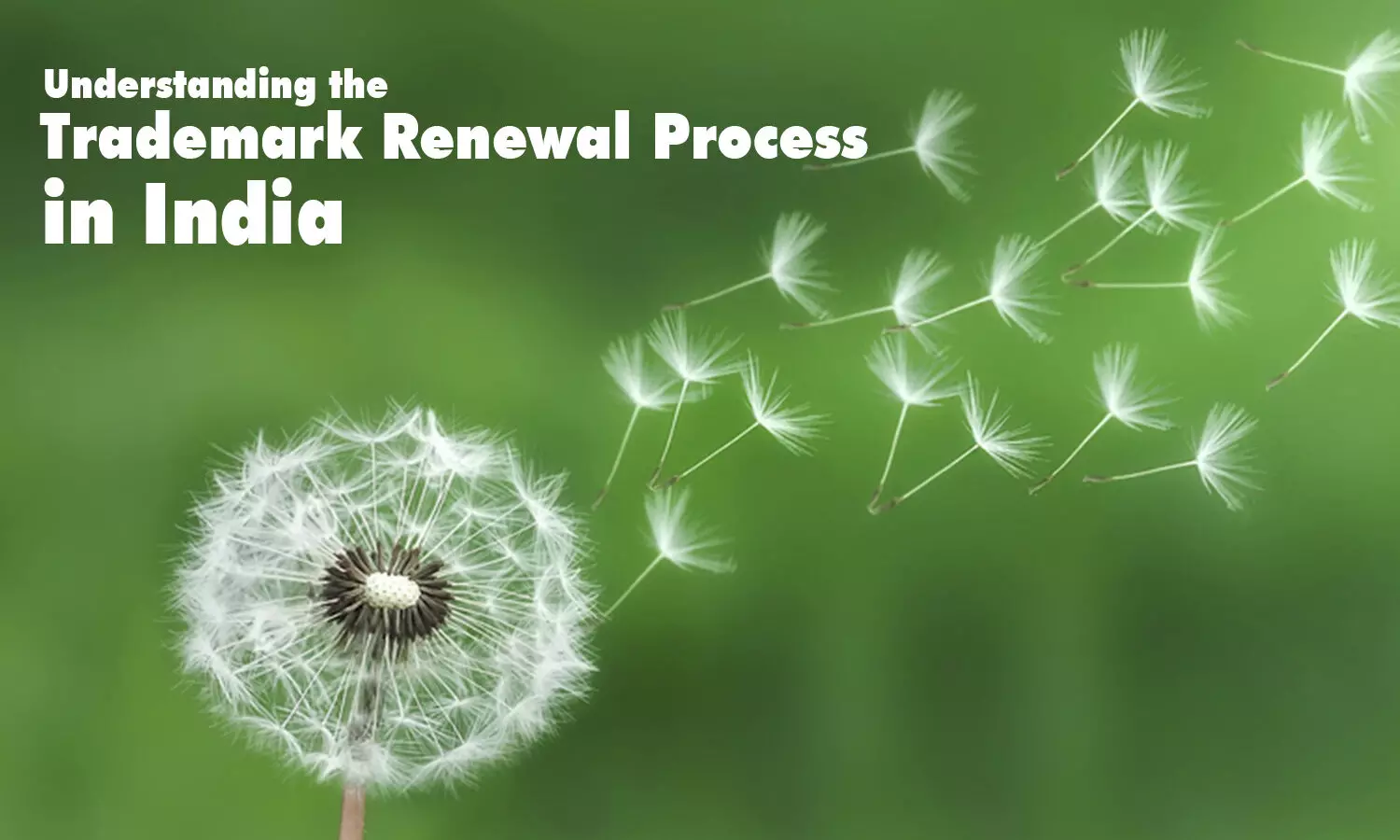 Understanding the Trademark Renewal Process in India