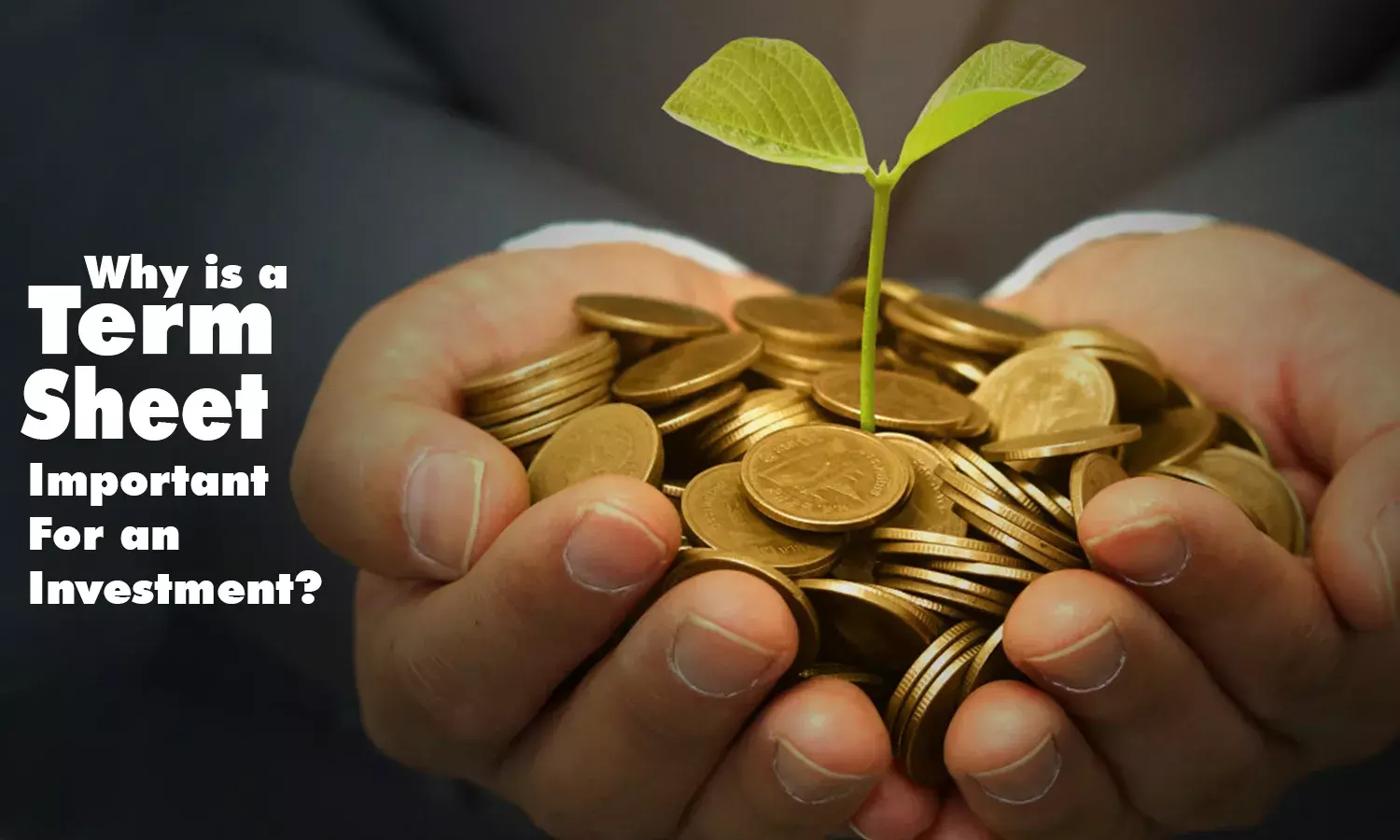 Why is a Term Sheet Important For an Investment?