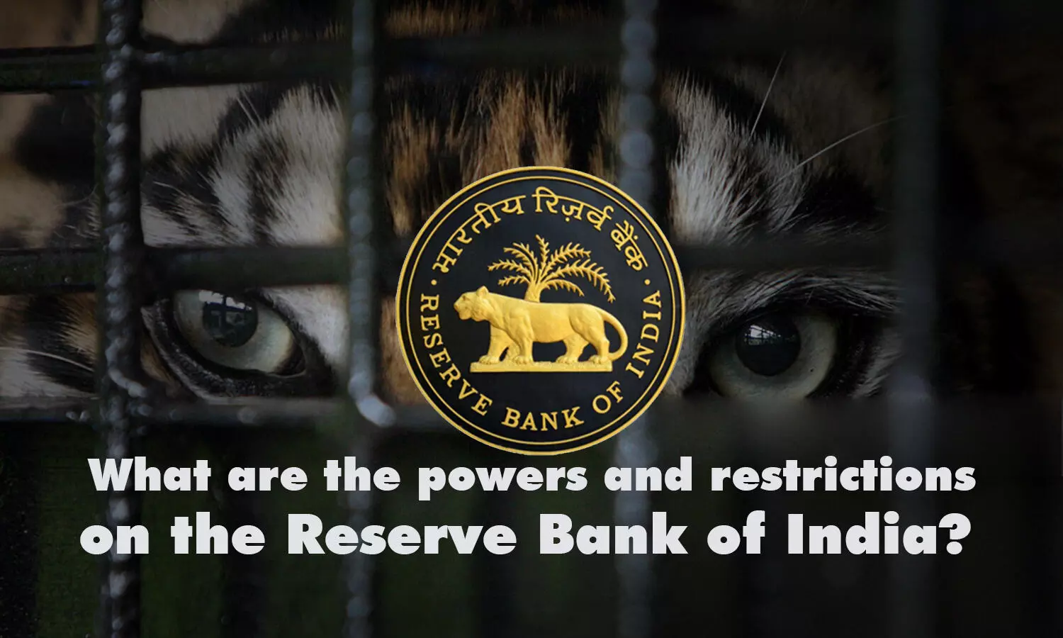 What are the powers and restrictions on the Reserve Bank of India?