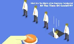 What Are the Rights of An Employee Terminated At The Time Of Covid19?