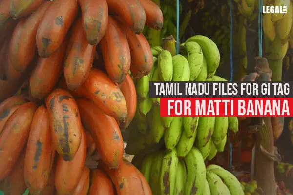 Tamil Nadu files for GI tag for Matti Banana