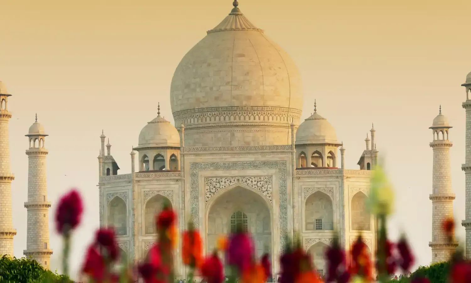 M&A Landscape Trends and Future