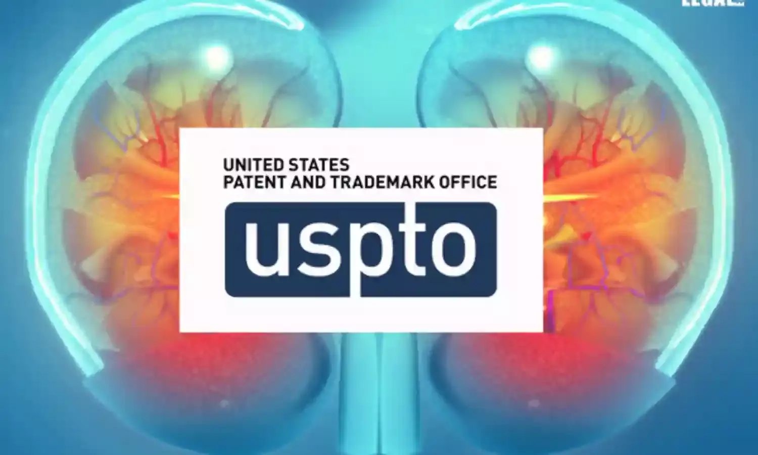 USPTO issues a patent on wearable artificial kidney