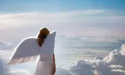 Angel Investments Points to consider, from a legal perspective, when flying like an Angel