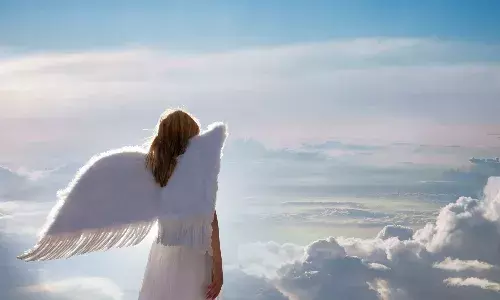 Angel Investments Points to consider, from a legal perspective, when flying like an Angel