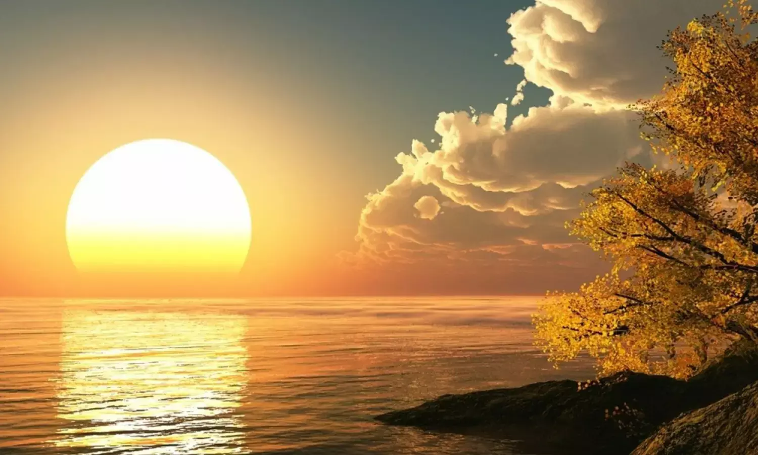 Rising to the Occasion Rising to the Occasion