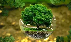 Corporate Social Responsibility: Exclusions from statutory obligation