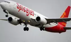 Punjab & Haryana High Court directs tax authorities to consider installment facility for Spicejet Punjab & Haryana High Court directs tax authorities to consider installment facility for Spicejet