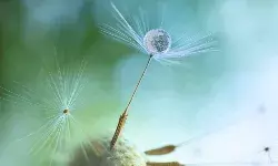 Tracing Freezing Recovering the Intangible Products of Cryptocurrency Fraud Before It Is Too Late