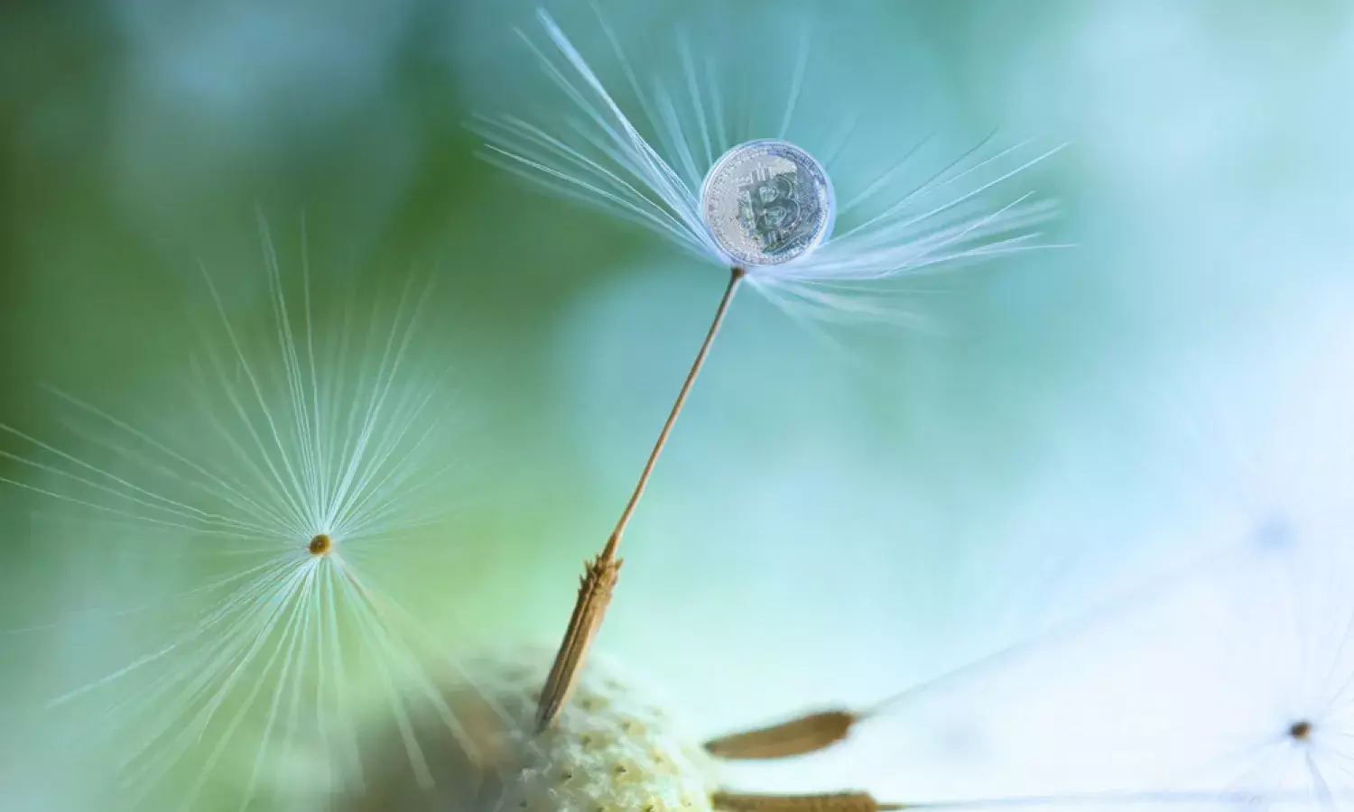 Tracing Freezing Recovering the Intangible Products of Cryptocurrency Fraud Before It Is Too Late