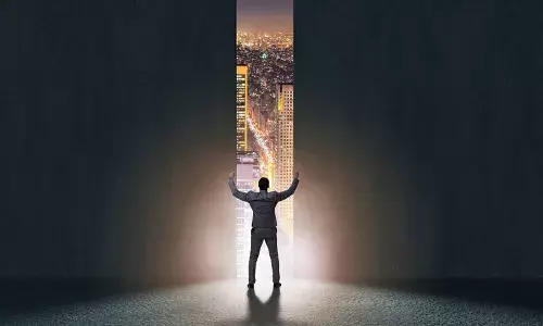 The Operation of Interpol in Politically Motivated Business Crime Cases