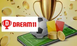 Fantasy sports platform moves High Court of Karnataka