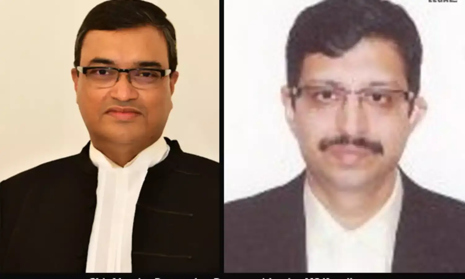 Bombay High Court rules in support of the petitioner