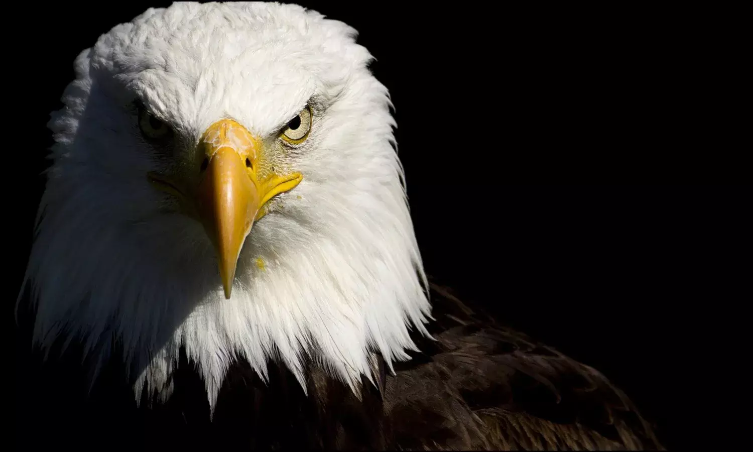 A birds-eye view of Proposed Reforms to the Power Sector