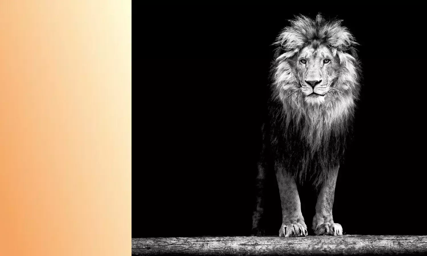 Powers of NCLT under Section 230 of the Companies Act, 2013