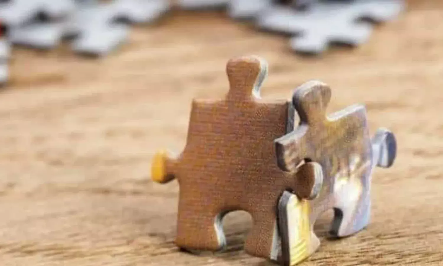 The Importance of Trust in Merger Regulation Under Competition Law in India