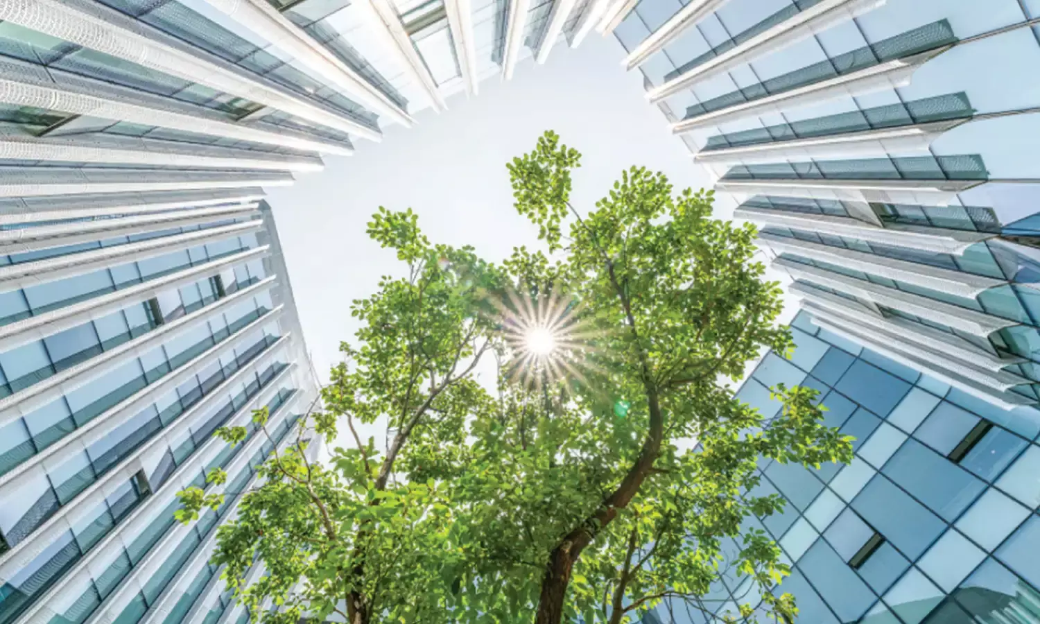 Corporate Governance Mandatory ESG Reporting