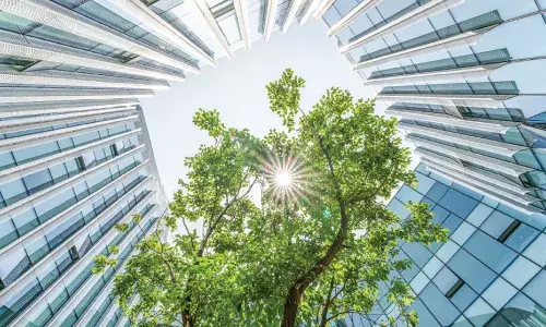 Corporate Governance Mandatory ESG Reporting