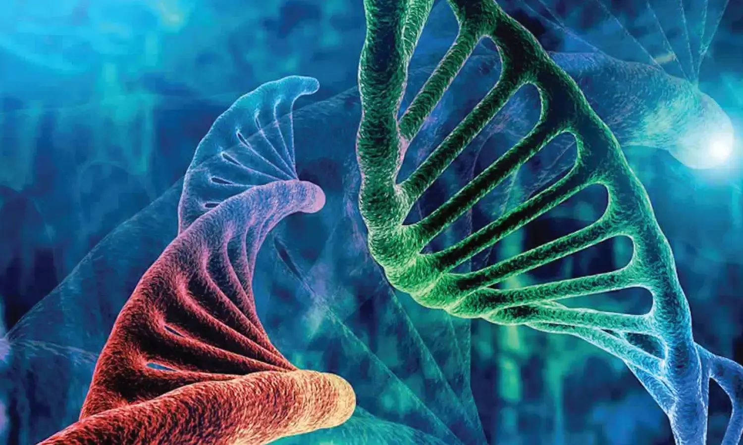 Valuation Of Biological Resources In India For Research And Patenting For Commercial and research use Valuation Of Biological Resources In India For Research And Patenting For Commercial and research use