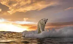 Mitigation of ESG Related Litigation Mitigation of ESG Related Litigation