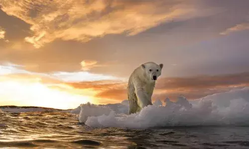 Mitigation of ESG Related Litigation Mitigation of ESG Related Litigation