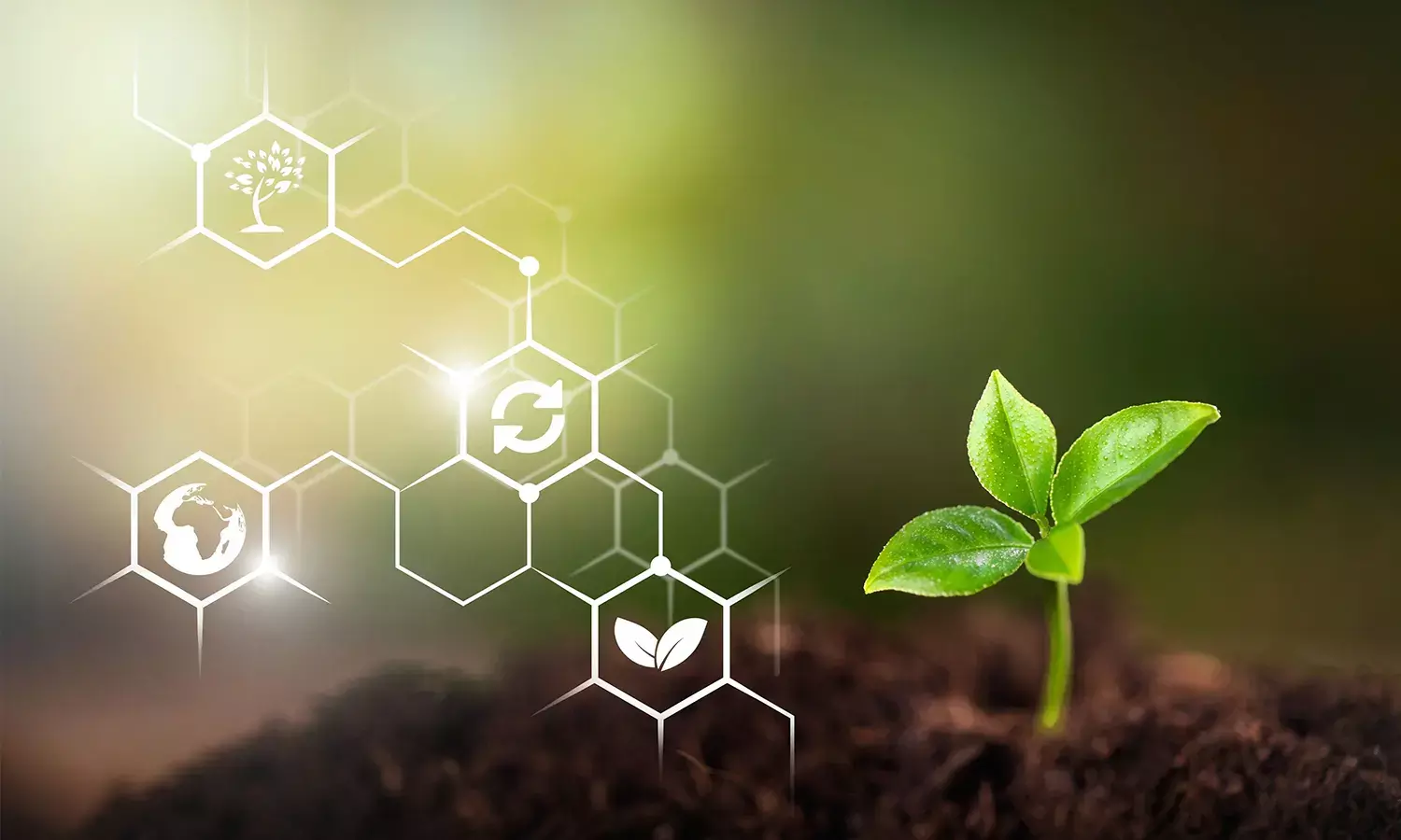 Indian Legal Regime for ESG