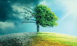 Identifying and Mitigating ESG Risks for Financial Services Firms Identifying and Mitigating ESG Risks for Financial Services Firms