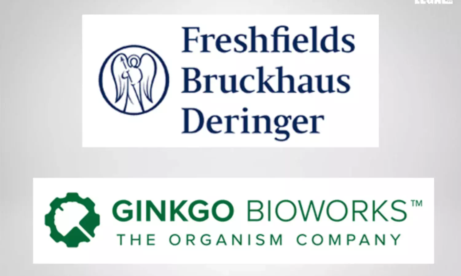 Freshfields-Ginkgo