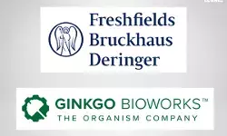 Freshfields-Ginkgo