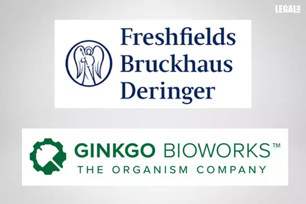 Freshfields-Ginkgo