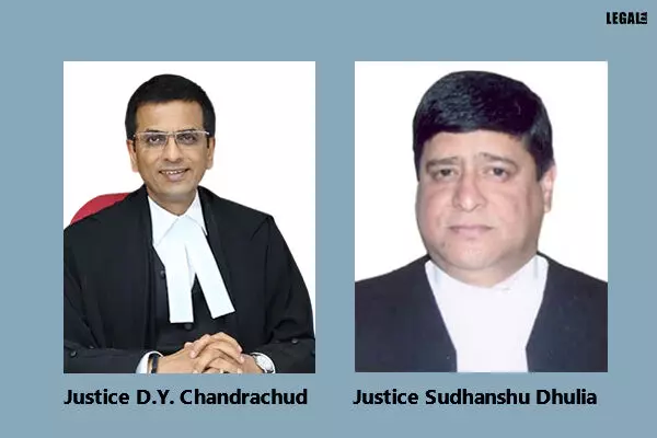 Justices-DY-Chandrachud-&-Sudhanshu-Dhulia