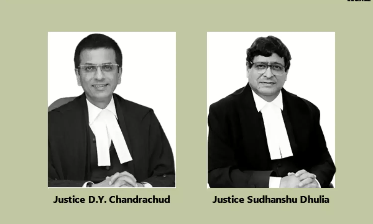 Justices-DY-Chandrachud-&-Sudhanshu-Dhulia