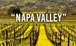 Napa-Valley